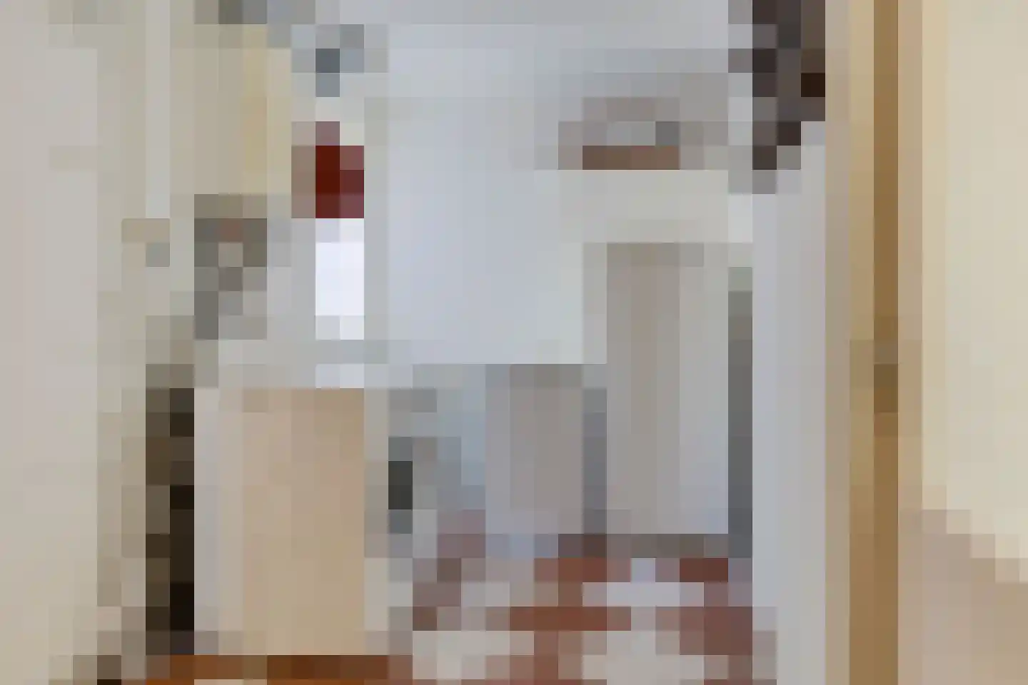 Eewal 37 Burdaard thumbnail 33