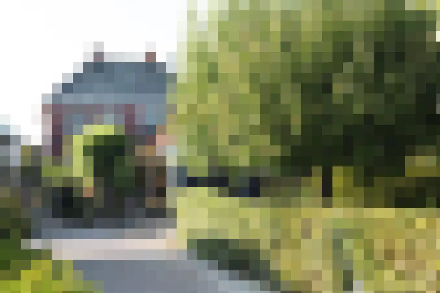Eewal 37 Burdaard thumbnail 45
