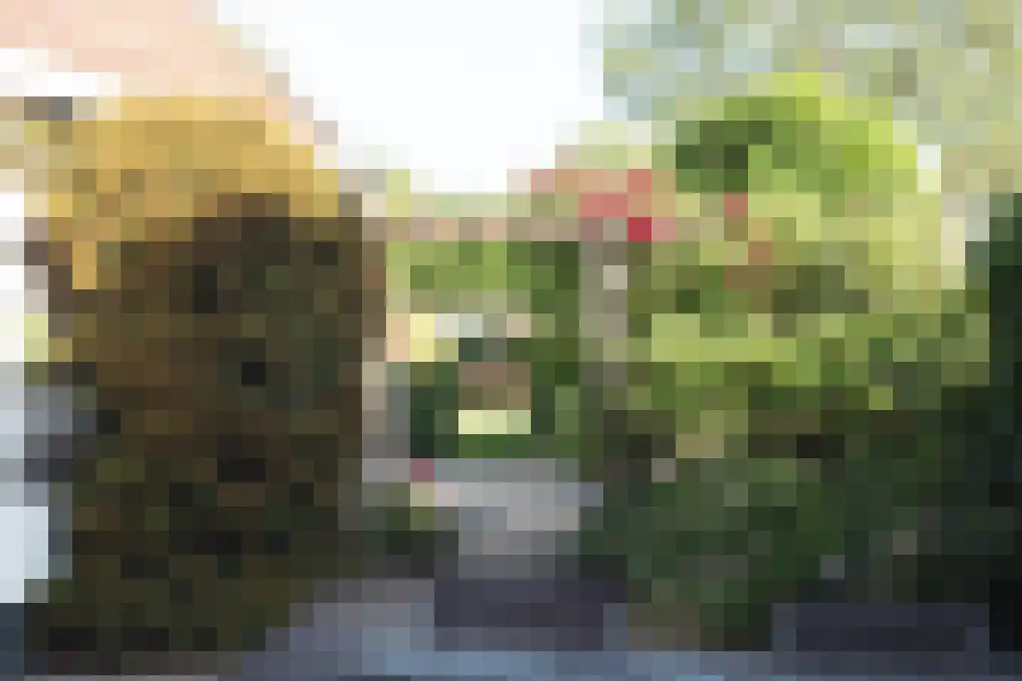 Eewal 37 Burdaard thumbnail 48