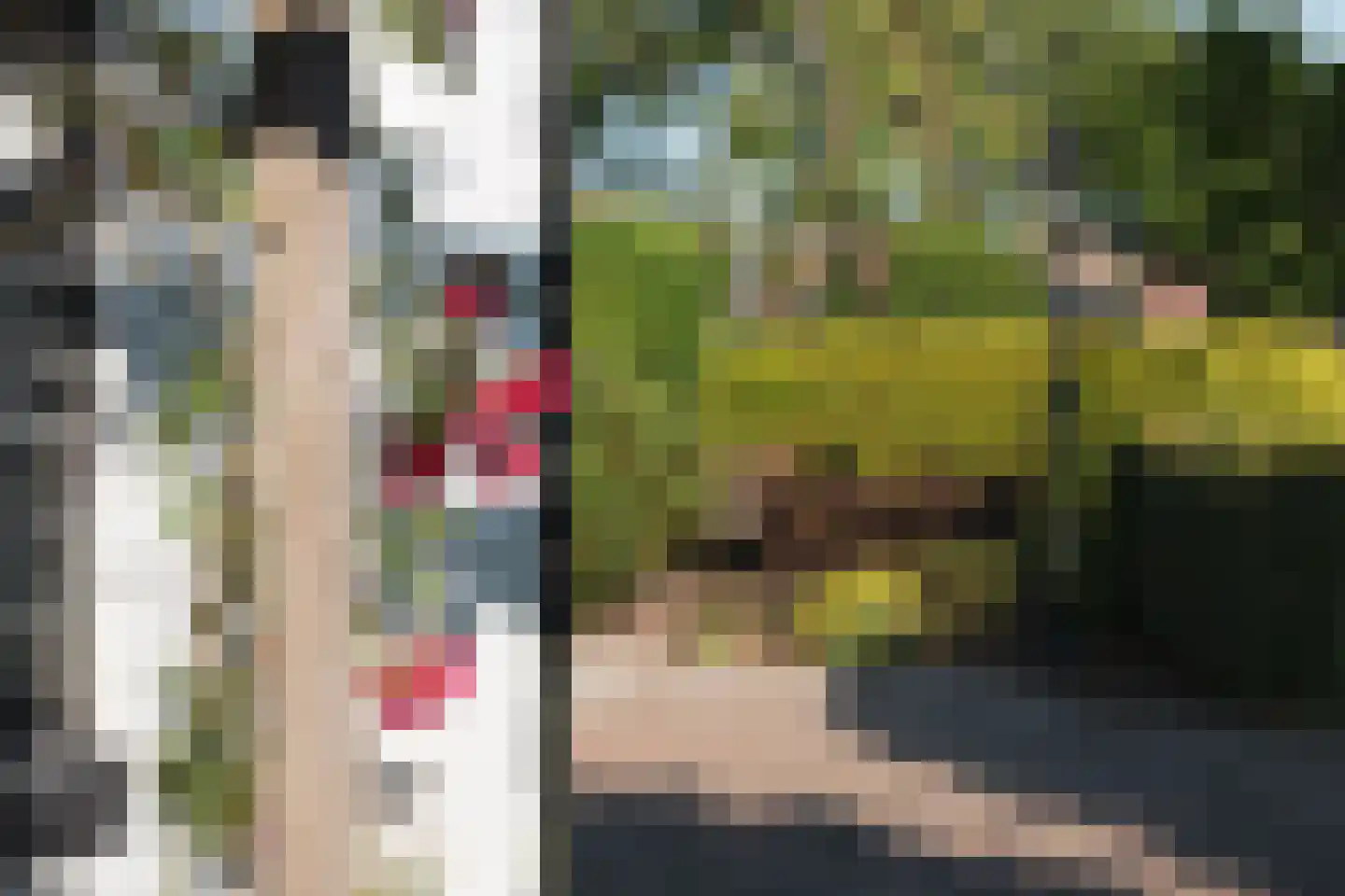 Eewal 37 Burdaard thumbnail 49