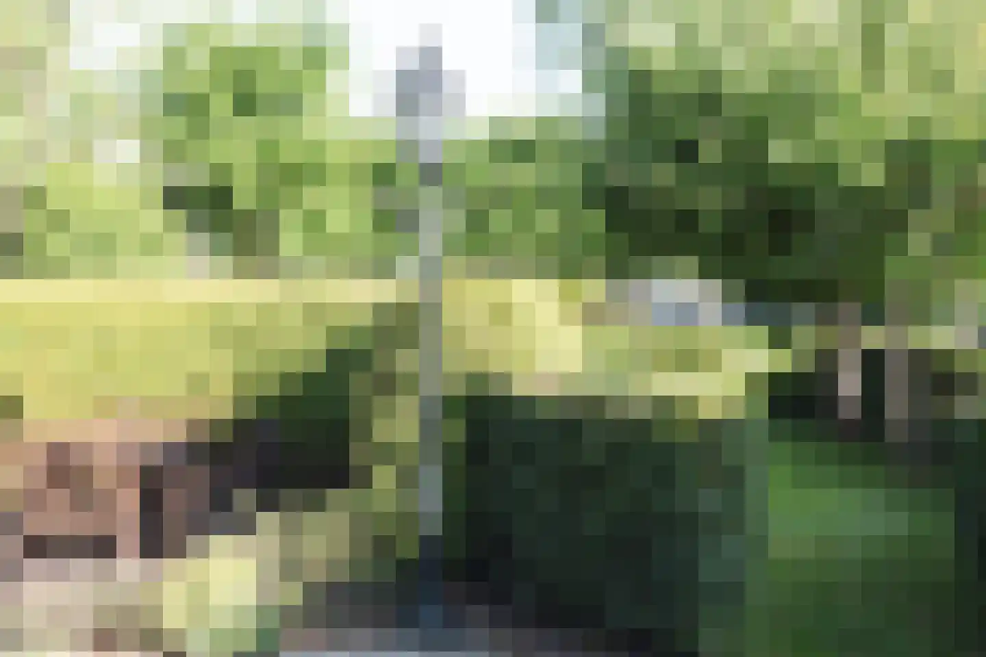 Eewal 37 Burdaard thumbnail 50