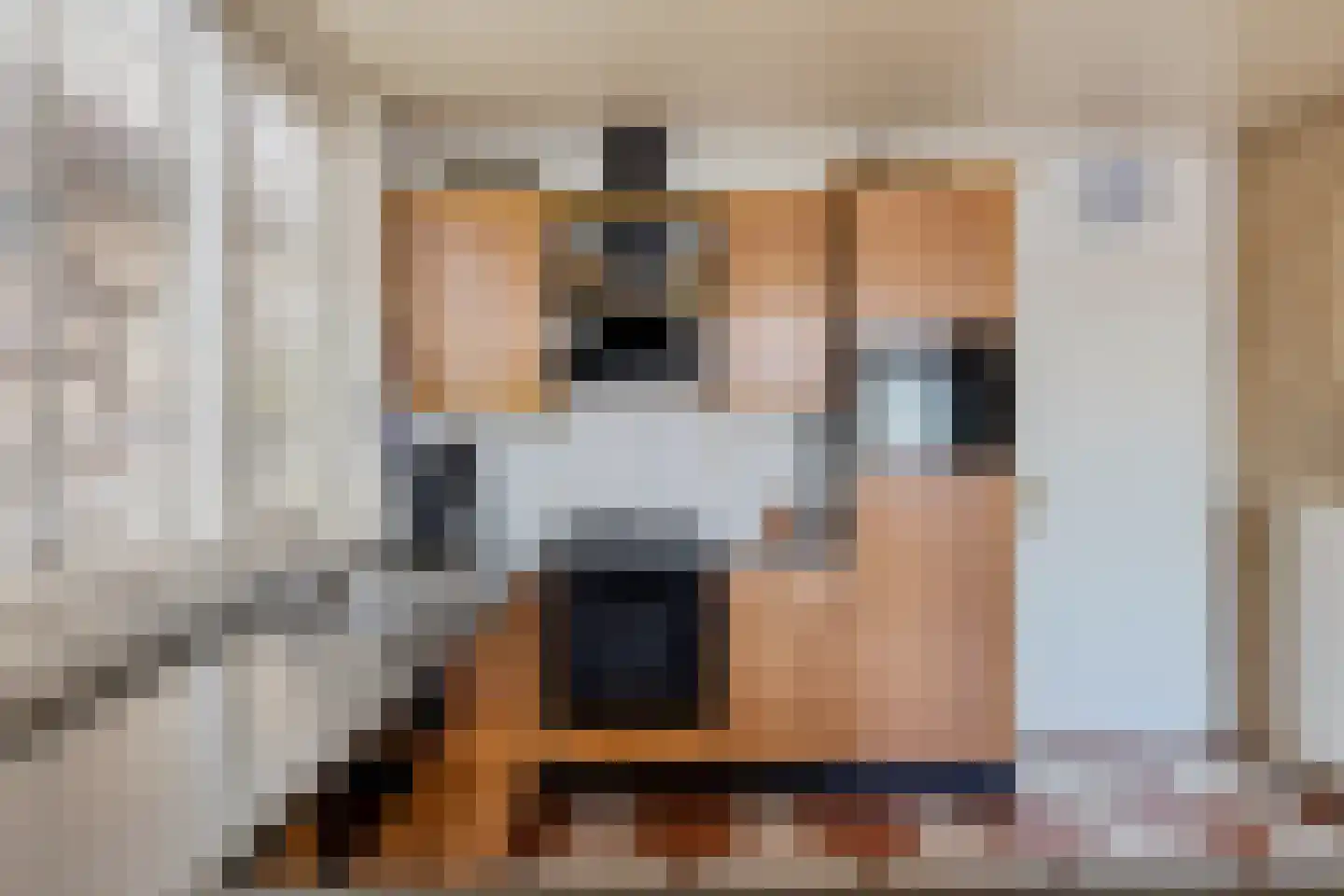 Eewal 37 Burdaard thumbnail 9