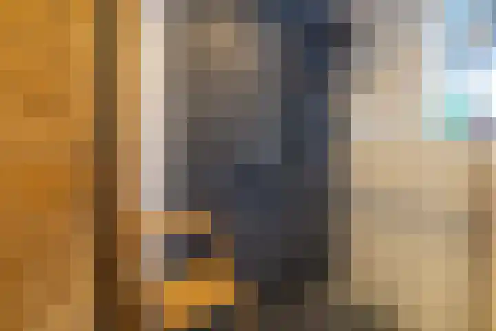 Eewal 51 Burdaard thumbnail 31