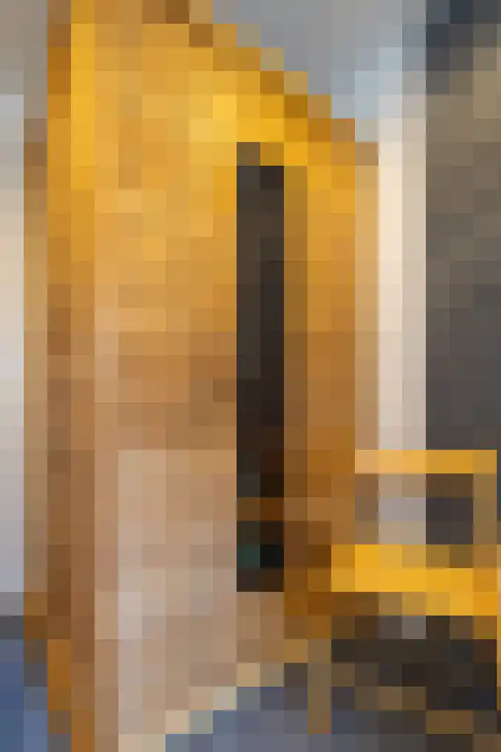 Eewal 51 Burdaard thumbnail 34