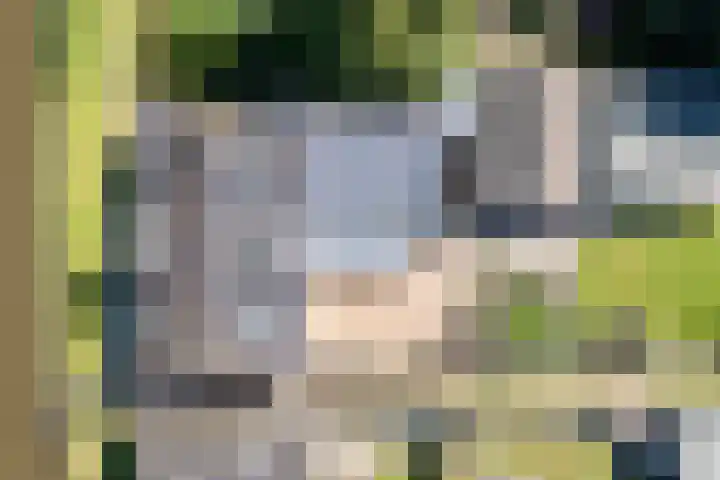 Eewal 51 Burdaard thumbnail 58