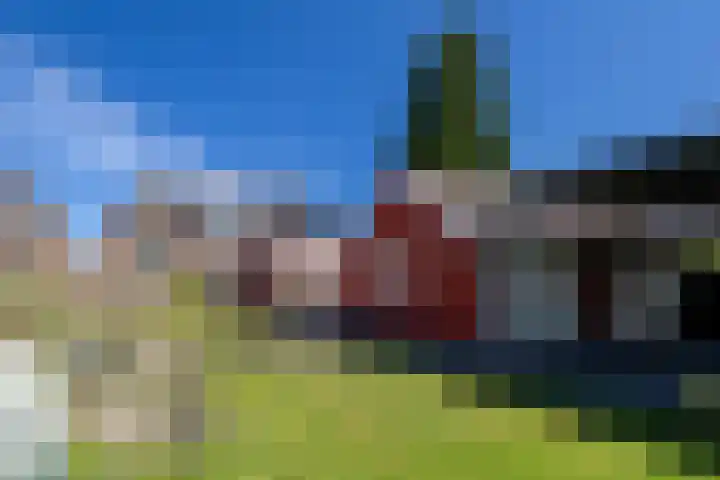 Eewal 51 Burdaard thumbnail 64