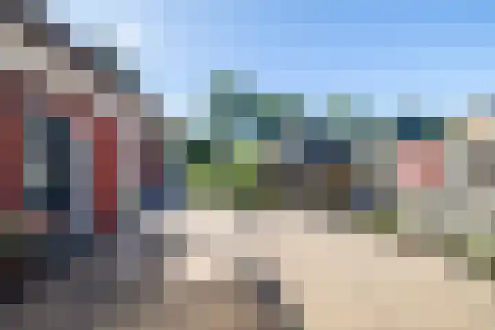 Eewal 51 Burdaard thumbnail 70