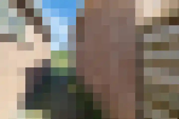 Eewal 51 Burdaard thumbnail 72