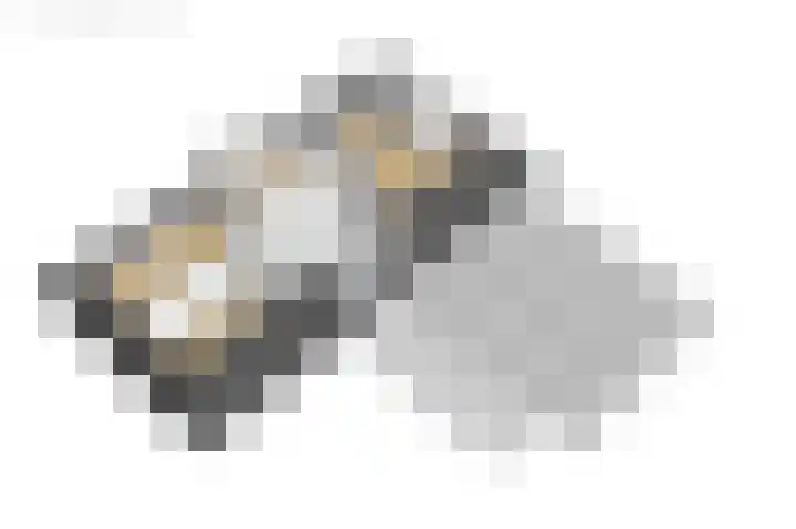 Eewal 51 Burdaard thumbnail 83