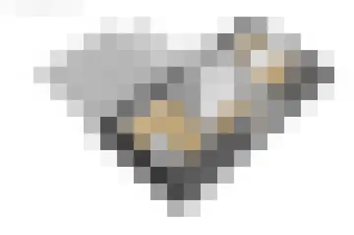 Eewal 51 Burdaard thumbnail 85