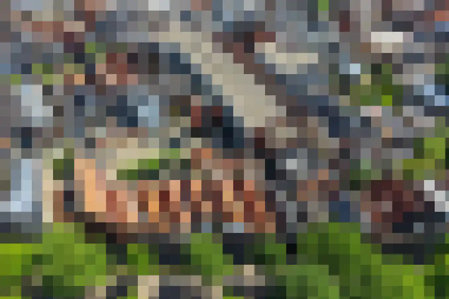 Eewal 78 Leeuwarden thumbnail 42