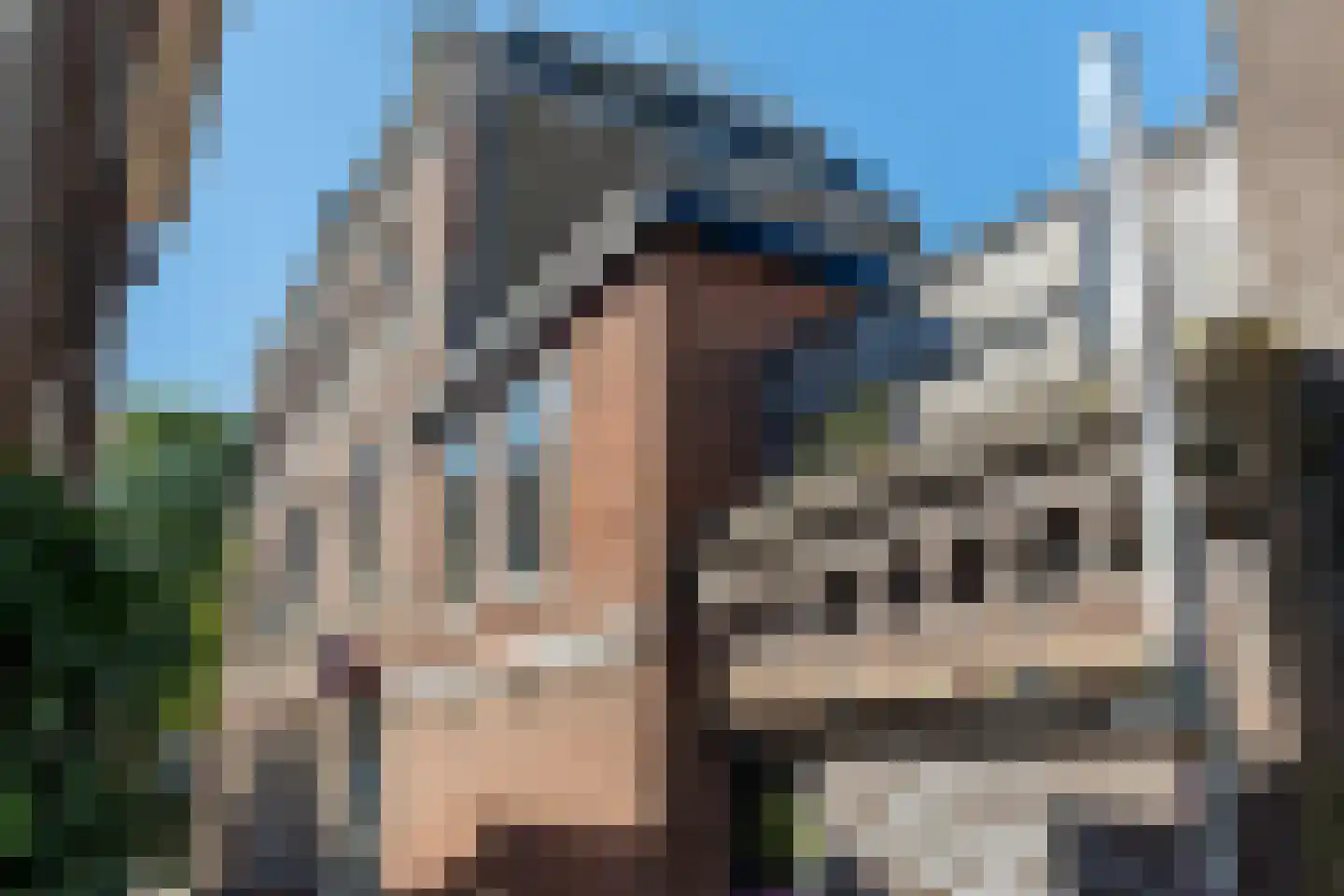 Eewal 79 Leeuwarden thumbnail 9