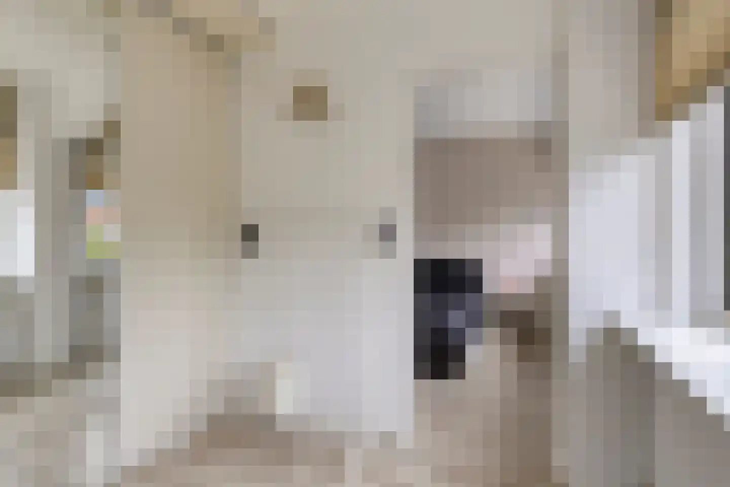 Eeweg 24 Oudenhoorn thumbnail 26