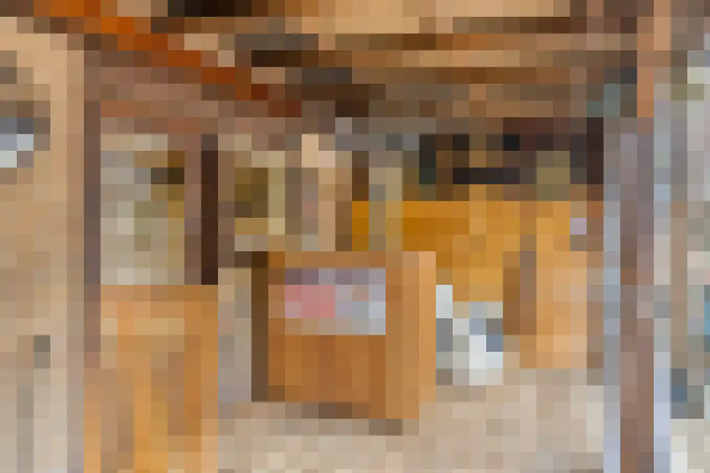Eeweg 24 Oudenhoorn thumbnail 46