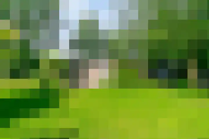 Eexterkoele 16 en Eext