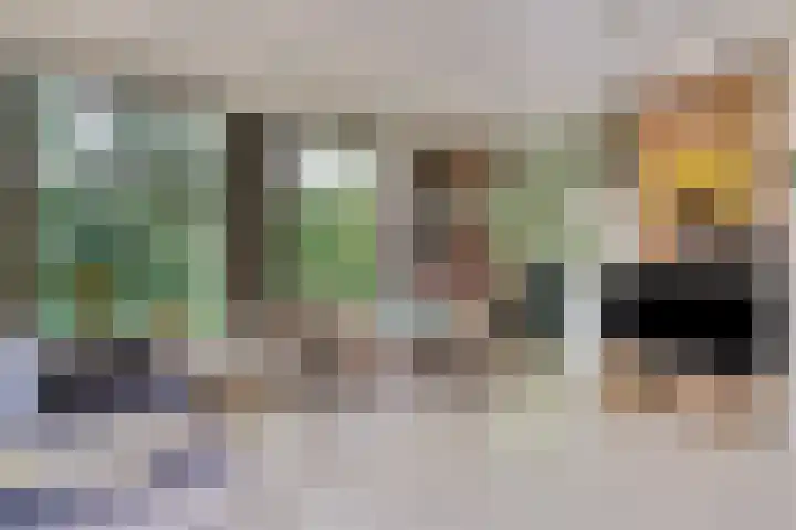 Eexterkoele 16 Eext thumbnail 11