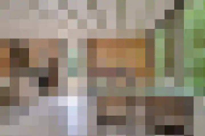 Eexterkoele 16 Eext thumbnail 12