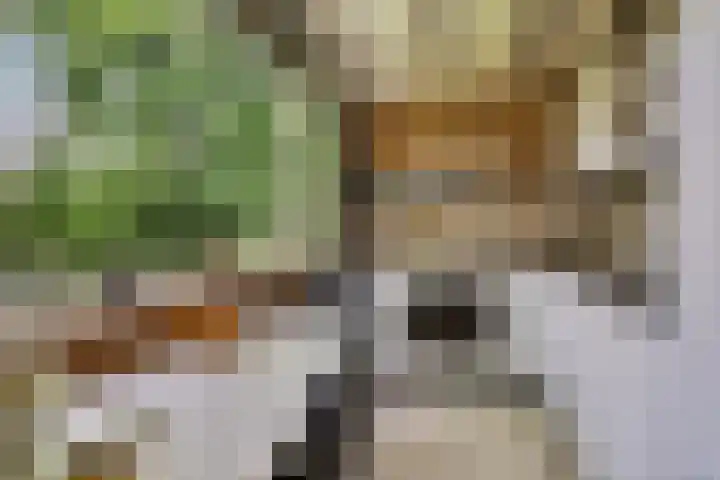 Eexterkoele 16 Eext thumbnail 13
