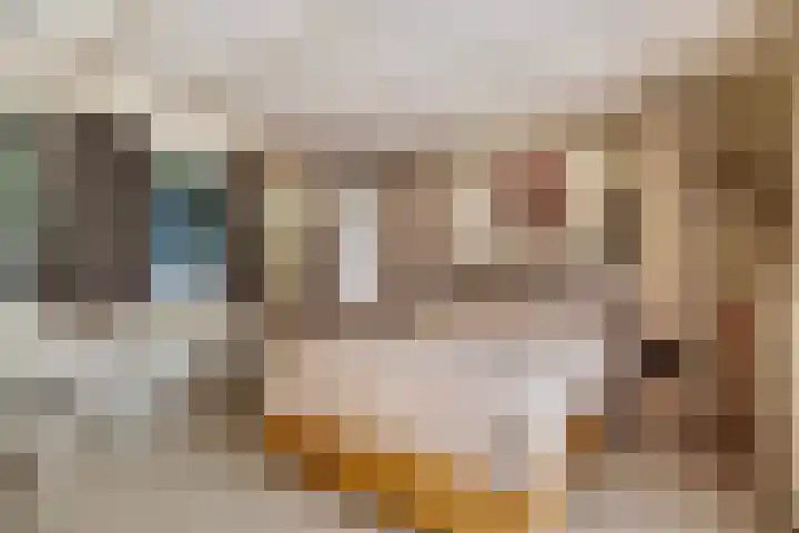 Eexterkoele 16 Eext thumbnail 16