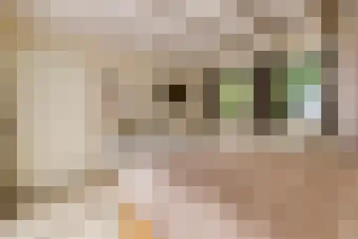 Eexterkoele 16 Eext thumbnail 17