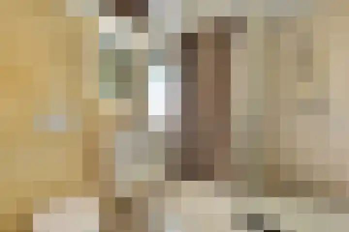 Eexterkoele 16 Eext thumbnail 18