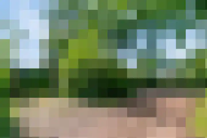 Eexterkoele 16 Eext thumbnail 20