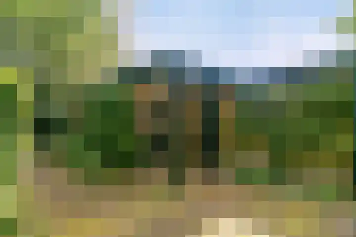 Eexterkoele 16 Eext thumbnail 21