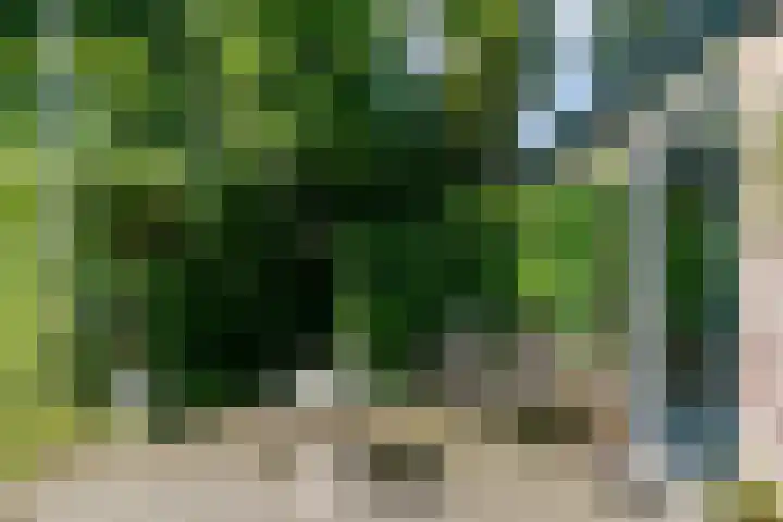Eexterkoele 16 Eext thumbnail 29