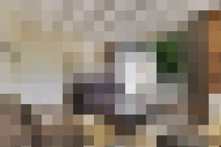 Eexterkoele 16 Eext thumbnail 7