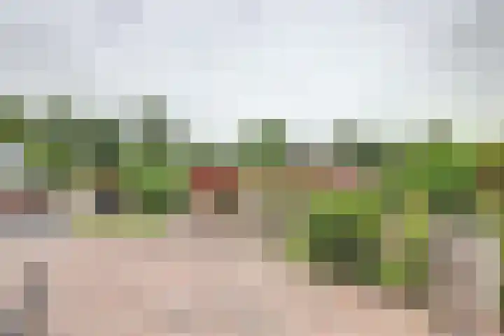 Eexterkoele 26 in Eext