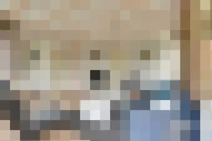 Eexterkoele 26 Eext thumbnail 11