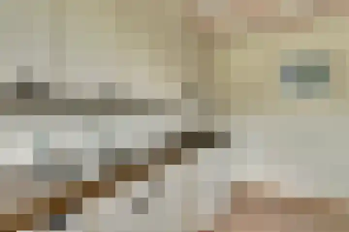 Eexterkoele 26 Eext thumbnail 15