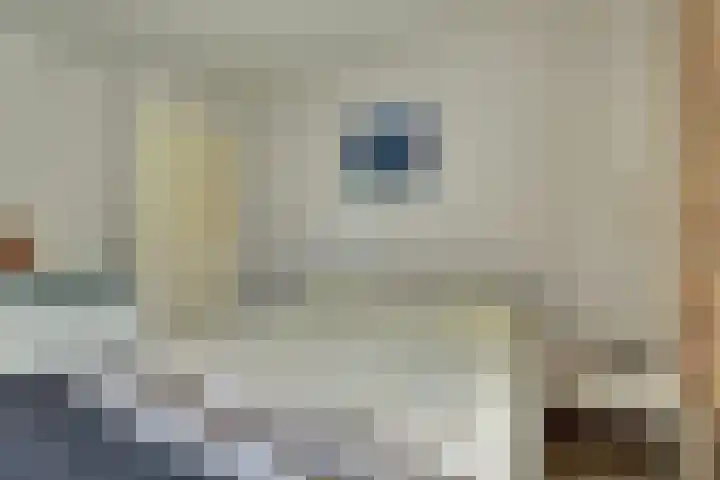 Eexterkoele 26 Eext thumbnail 19
