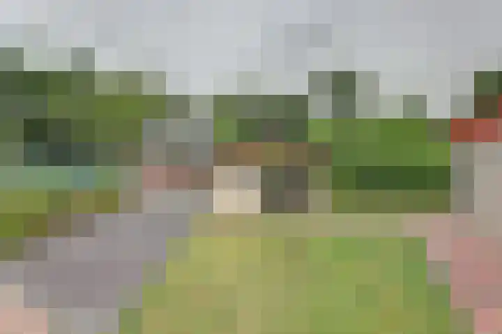 Eexterkoele 26 Eext thumbnail 24