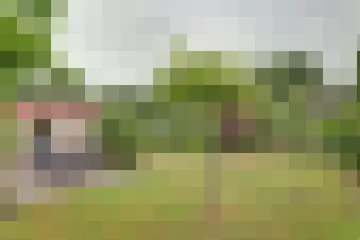 Eexterkoele 26 Eext thumbnail 27