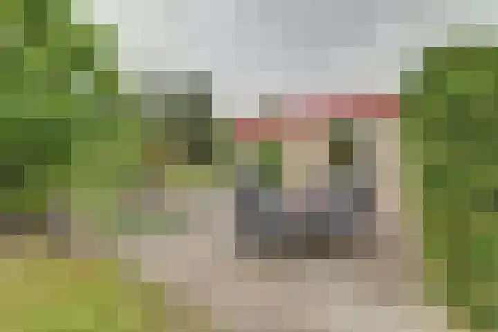 Eexterkoele 26 Eext thumbnail 28