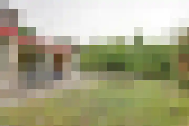 Eexterkoele 26 Eext thumbnail 29