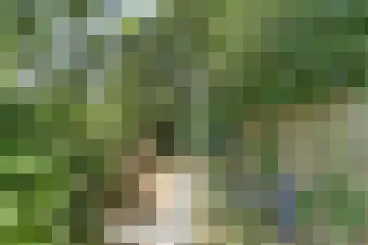 Eexterkoele 26 Eext thumbnail 32