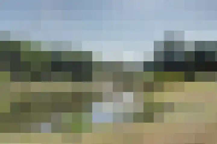 Eexterkoele 26 Eext thumbnail 33