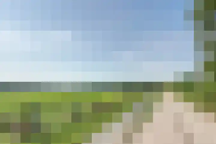 Eexterkoele 26 Eext thumbnail 34
