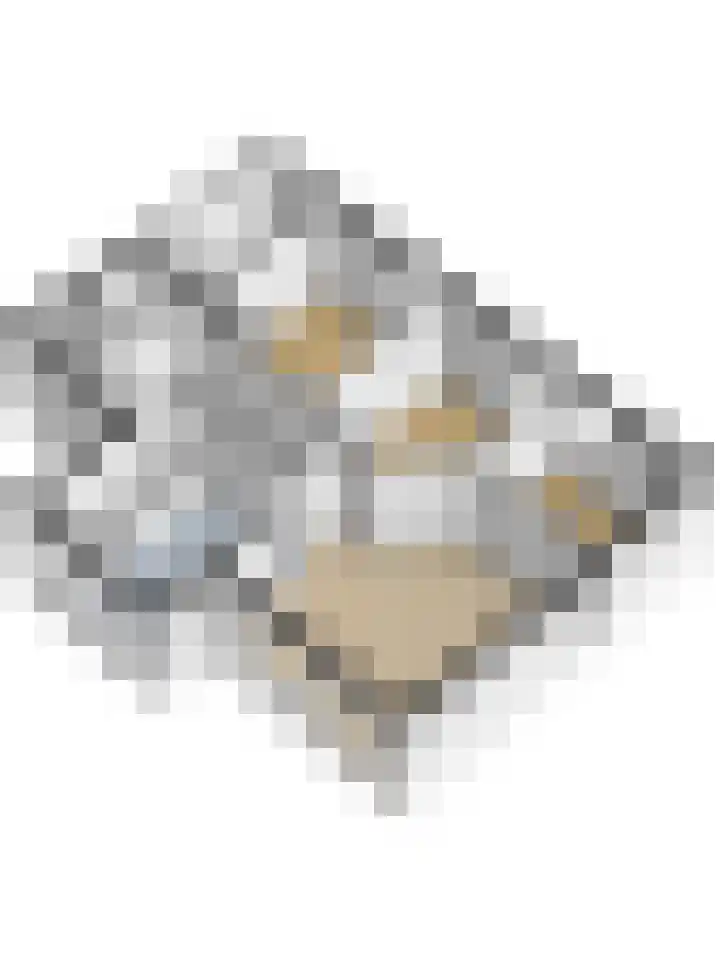 Eexterkoele 26 Eext thumbnail 36