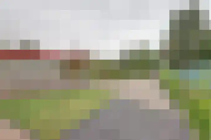 Eexterkoele 26 Eext thumbnail 4