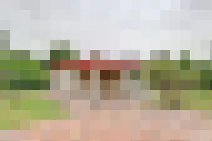 Eexterkoele 26 Eext thumbnail 5
