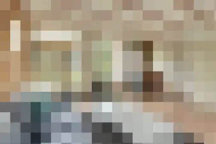 Eexterkoele 26 Eext thumbnail 8