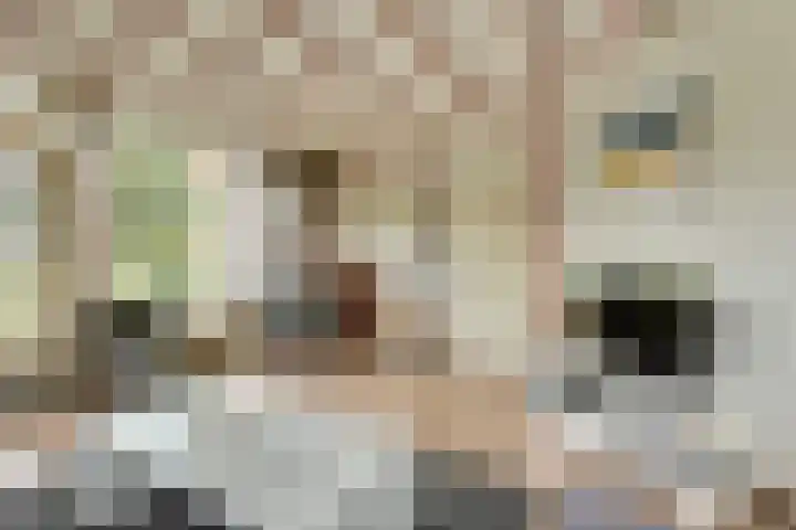 Eexterkoele 26 Eext thumbnail 9