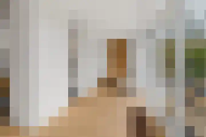 Eexterkoele 29 en Eext