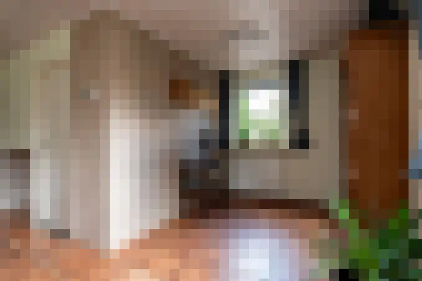 Eexterkoele 29 Eext thumbnail 11