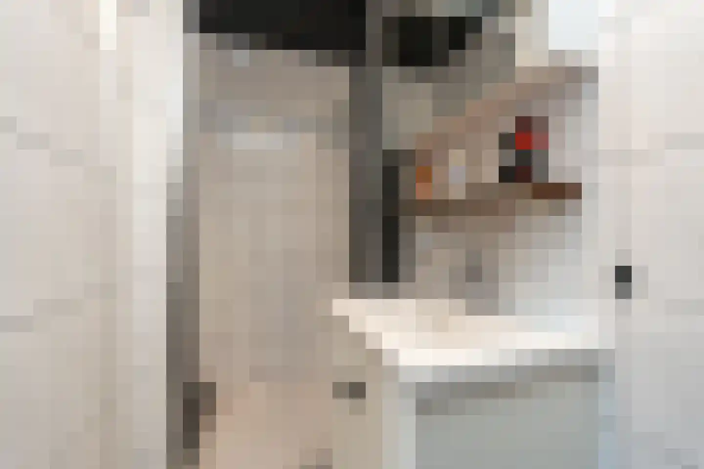 Eexterkoele 29 Eext thumbnail 22