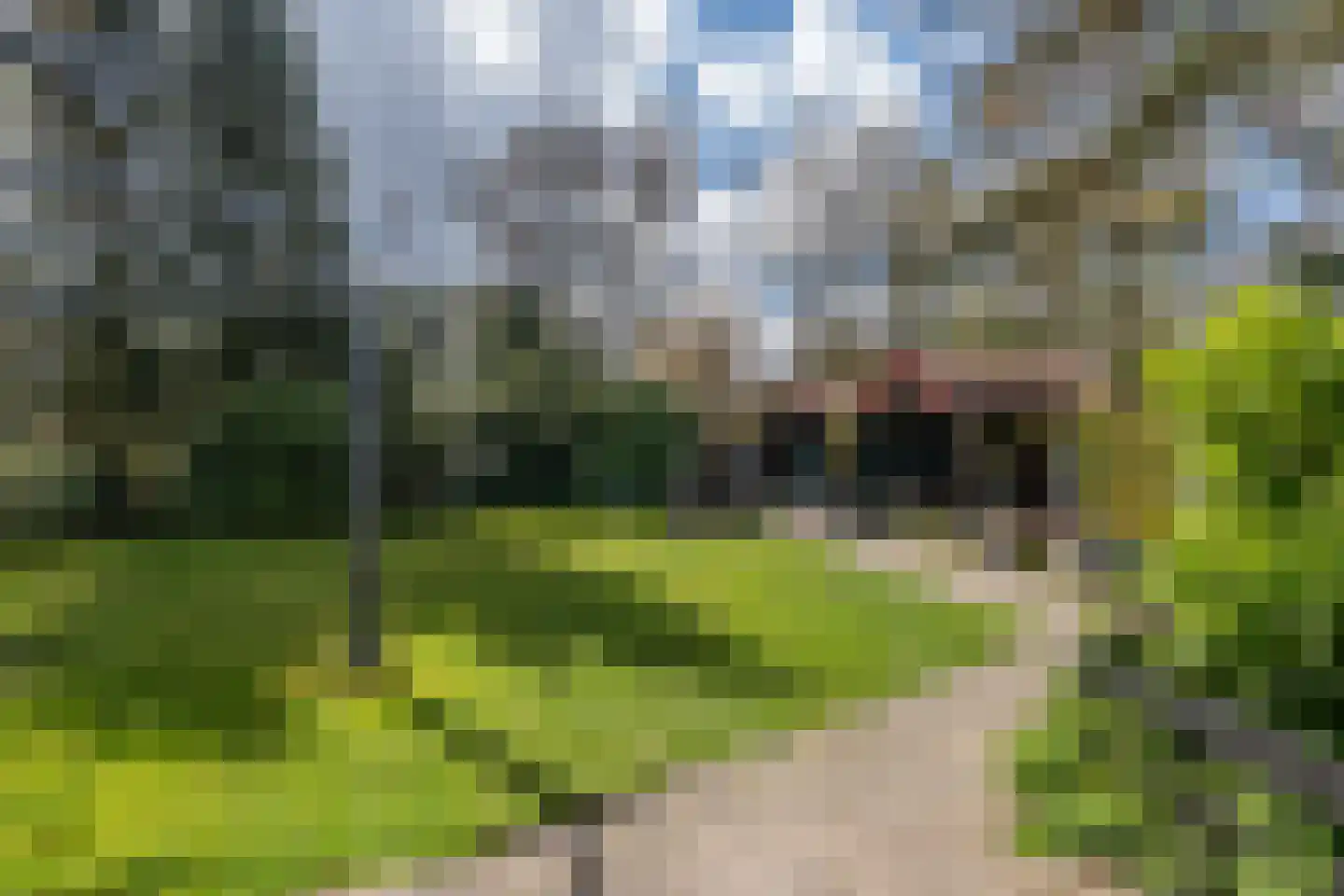 Eexterkoele 29 Eext thumbnail 27