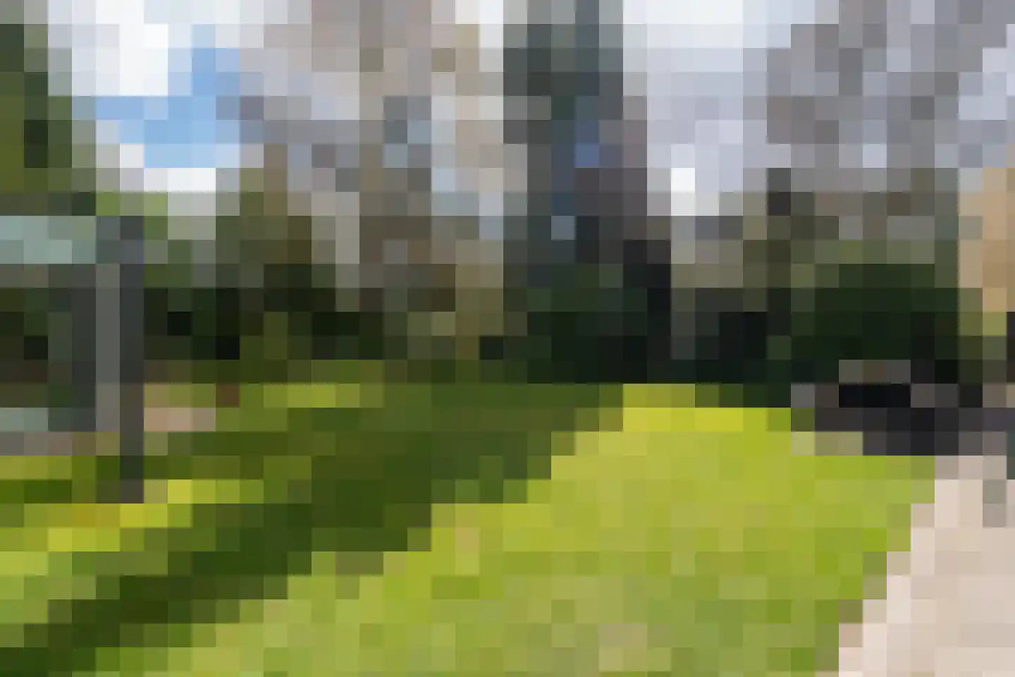 Eexterkoele 29 Eext thumbnail 28